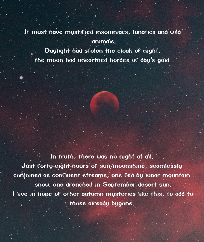 Blood Red Moon in a star filled sky.